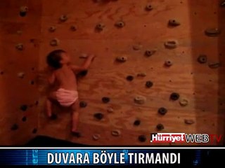 DUVARA TIRMANAN BEBEK