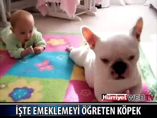 BEBEK VE KÖPEK