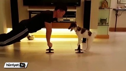 Sevimli köpek sahibiyle beraber spor yapıyor