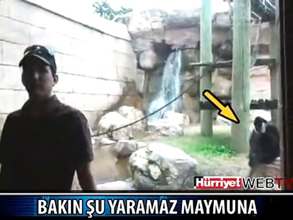 YARAMAZ MAYMUN