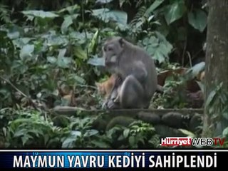 KEDİYİ BÖYLE SAHİPLENDİ