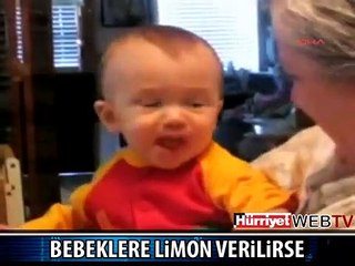 LİMON YİYEN BEBEKLER REKOR KIRIYOR