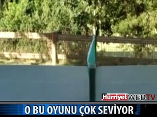 BU KÖPEK SİZCE NE YAPIYOR..!!?