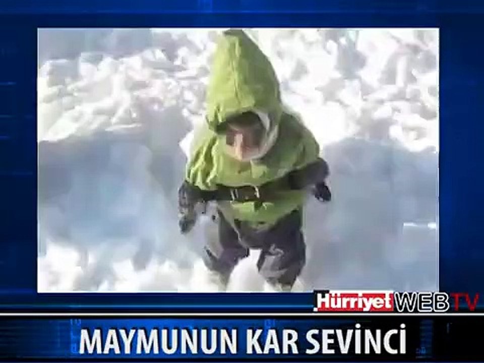 KAR GÖREN MAYMUNUN SEVİNCİ