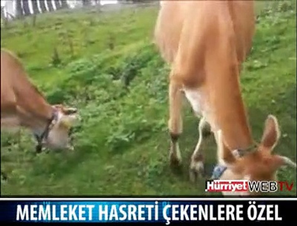 HADİ GEL KÖYÜMÜZE GERİ DÖNELİM
