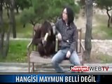 SİZCE HANGİSİ MAYMUN