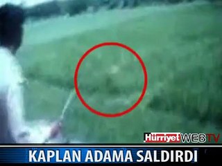 KAPLAN ADAMA BÖYLE SALDIRDI
