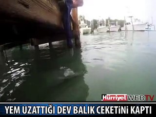 DEV BALIK ADAMIN CEKETİNİ BÖYLE KAPTI