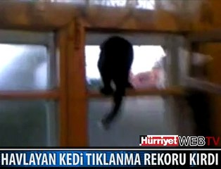 KÖPEK TAKLİDİ YAPAN KEDİ