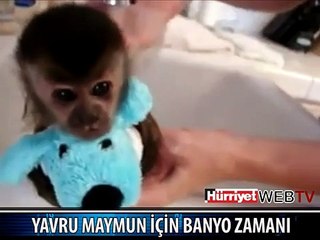 MİNİCİK MAYMUNUN BANYO KEYFİ