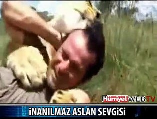 ADAMIN ASLAN SEVGİSİ