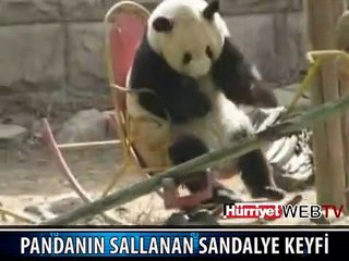 PANDANIN KEYFİNE BAKIN