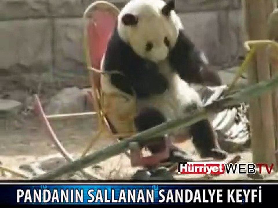 PANDANIN KEYFİNE BAKIN