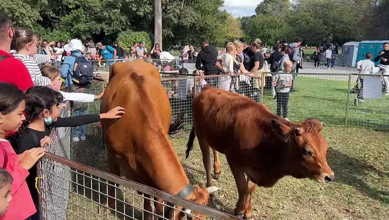 Marseille. Une journée dédiée aux familles ce dimanche au Parc Borély