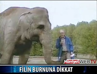 FİL BUNU BU ADAMA YAPTI