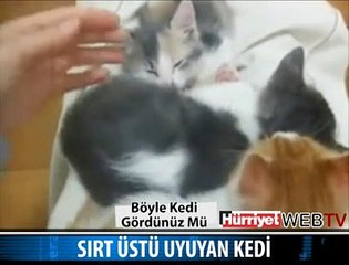 SIRT ÜSTÜ VE ELLER HAVADA UYUDU