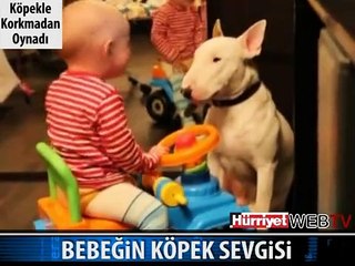 BEBEĞİN KÖPEK SEVGİSİ