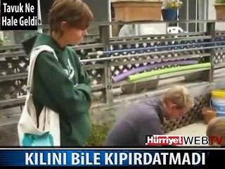 TAVUK BİLE ŞAŞTI KALDI BU İŞE