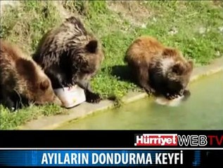 AYILARIN DONDURMA KEYFİ