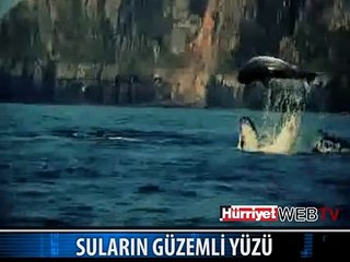 MAVİ SULARIN ÖTEKİ YÜZÜ