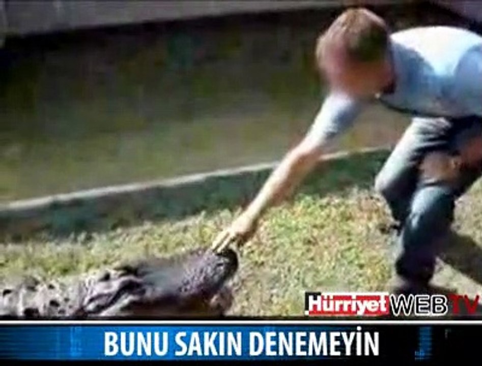 ELİNİ TİMSAHA KAPTIRDI