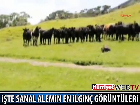 İŞTE SANAL ALEMİN EN İLGİNÇ GÖRÜNTÜLERİ
