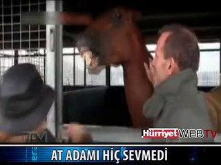 AT ADAMIN DOKUNMASINA KIZIYOR