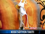 SÜTYEN GİYEN KEDİ