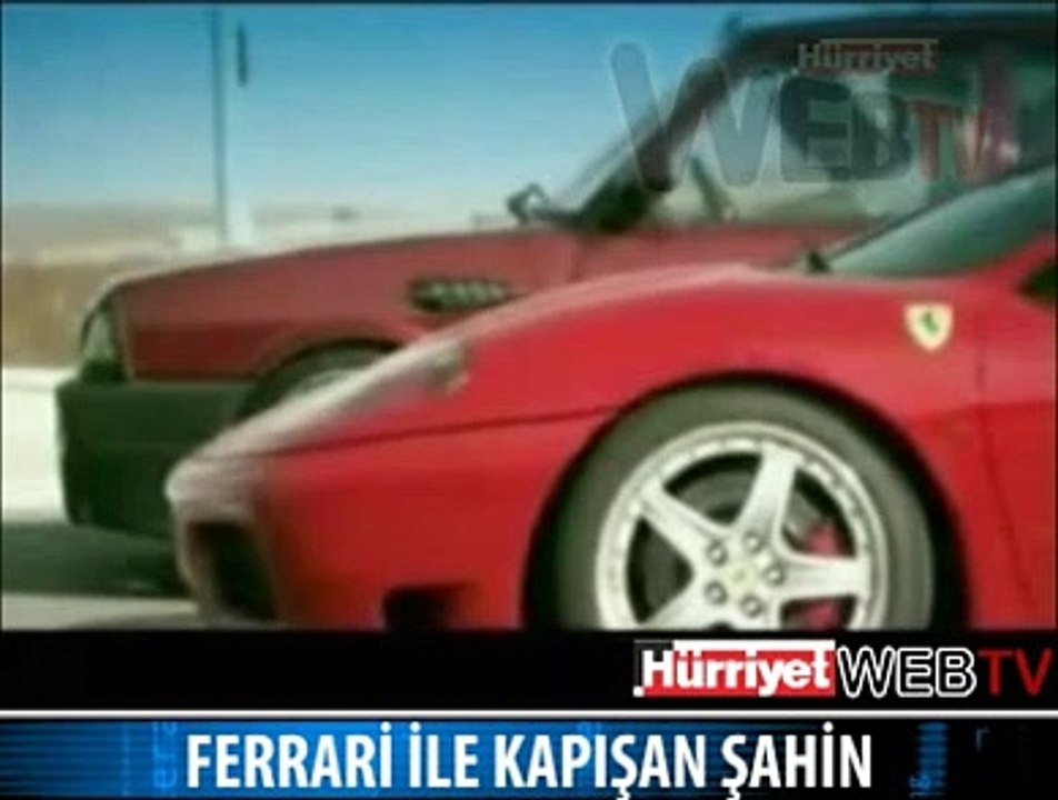 DOĞAN GÖRÜNÜMLÜ ŞAHİN HİKAYESİ