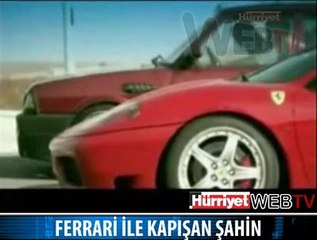 DOĞAN GÖRÜNÜMLÜ ŞAHİN HİKAYESİ