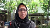 Gakkum LHK Bersama BKSDA Sulawesi Selatan Amankan Satwa Dilindungi