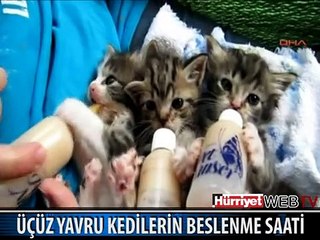 ÜÇÜZLERİN YEMEK KEYFİ