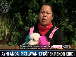 İP ATLAYAN KÖPEKLER
