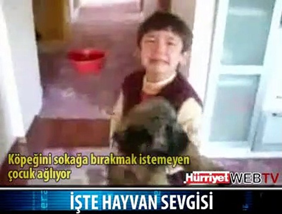 HAYVAN SEVGİSİ BUDUR