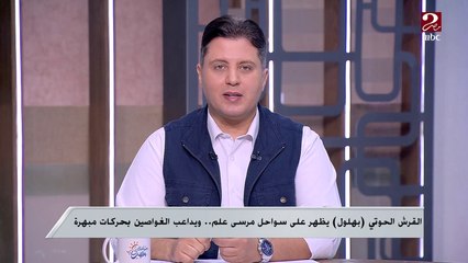 القرش الحوتي "بهلول" يظهر على سواحل مرسي علم ويداعب الغواصين بحركات مبهرة