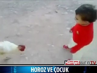 HOROZ VE O ÇOCUK