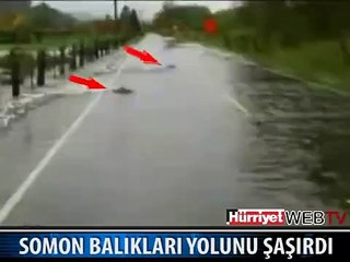 HERKES ŞAŞKINA DÖNDÜ