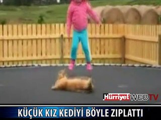 KEDİYE BAKIN NE YAPTI