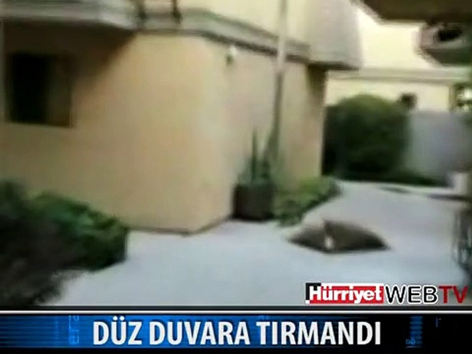DÜZ DUVARA BÖYLE TIRMANDI