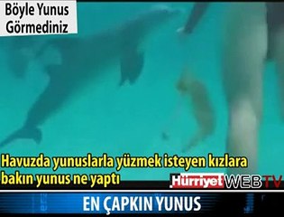 EN ÇAPKIN YUNUS VE KIZLAR