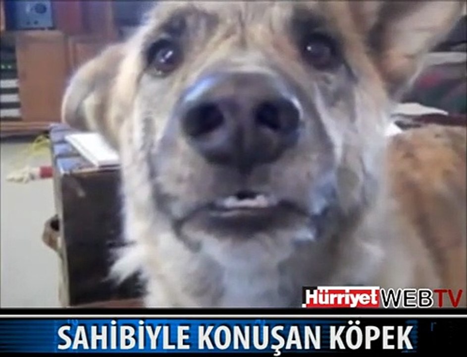 2011'İN EN ÇOK İZLENEN 2. VİDEOSU