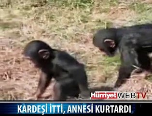 ANNE SEVGİSİ
