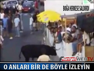 BOĞALARIN ACI İNTİKAMI BÖYLE OLDU