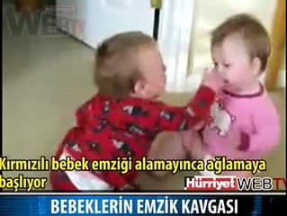 BEBİŞKOLARIN EMZİK KAVGASI