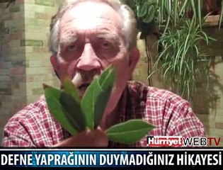 İZAH EDEN ADAM VE DEFNE YAPRAĞI