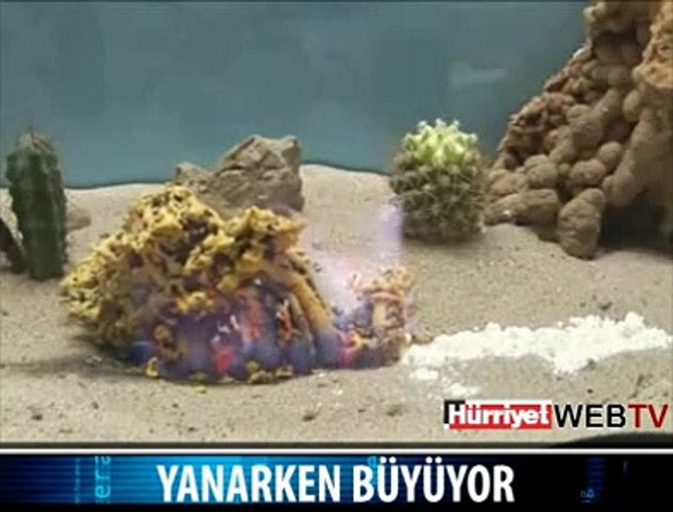 YANARKEN BÜYÜYOR