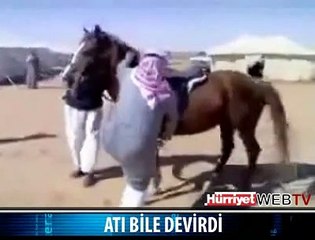 AT AT OLALI BÖYLE ZULÜM GÖRMEDİ