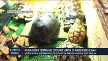 Kura-kura Termahal Di Dunia Turut Meriahkan Animal Land Di Makassar