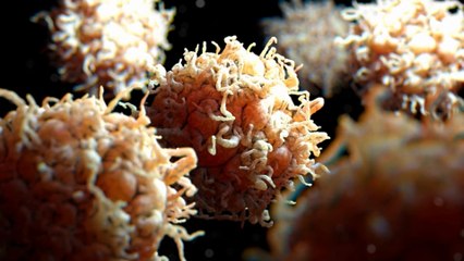 10 Diseases Causes by Sugar Consumption