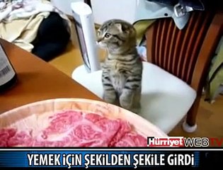 YEMEK MASASINDA BEKLİYOR